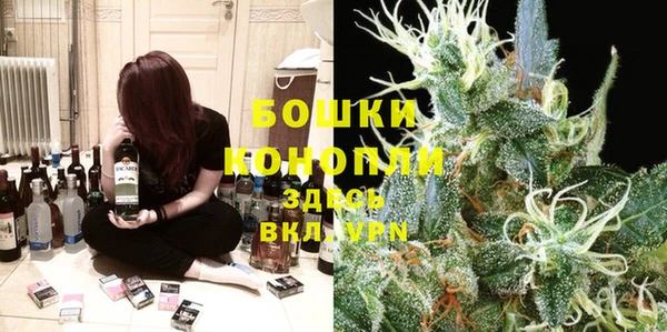 шишки Кукмор
