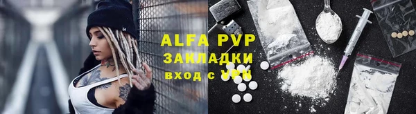 прущие грибы Краснослободск