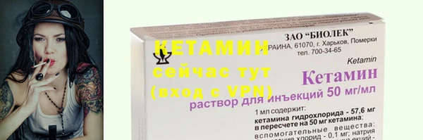 шишки Кукмор