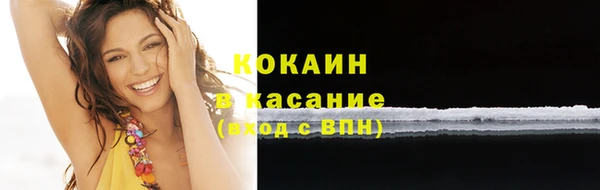 прущие грибы Краснослободск