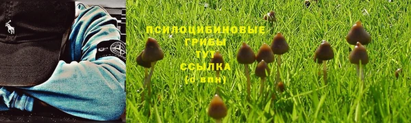 СК Кулебаки