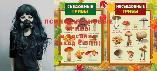 шишки Кукмор