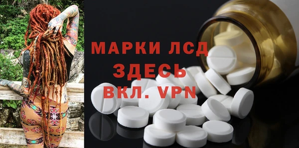 шишки Кукмор