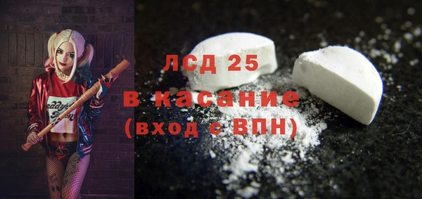 прущие грибы Краснослободск