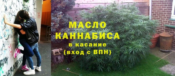 прущие грибы Краснослободск