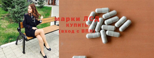 прущие грибы Краснослободск