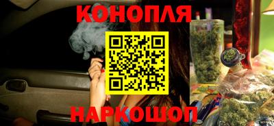 ALPHA PVP Гусев