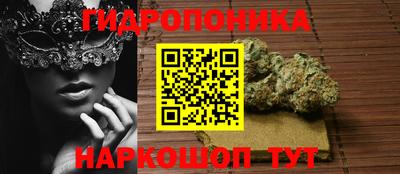 ALPHA PVP Гусев