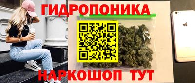 метадон Гусь-Хрустальный