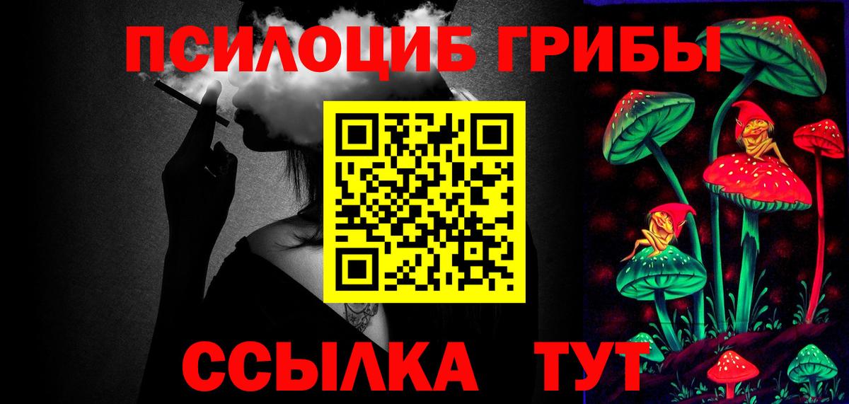 где можно купить наркотик  Вход с VPN  Новый Уренгой  Галлюциногенные грибы Cubensis 