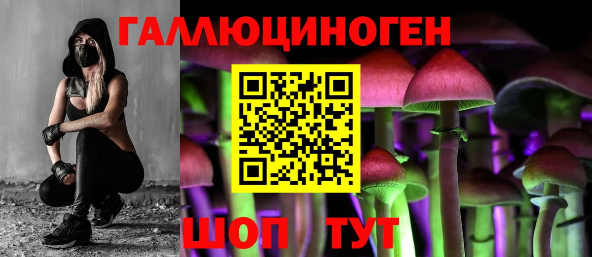 Псилоцибиновые грибы GOLDEN TEACHER Новый Уренгой
